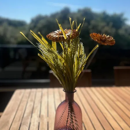 Apartman Penthouse Hedonist With Hidromassage Bath